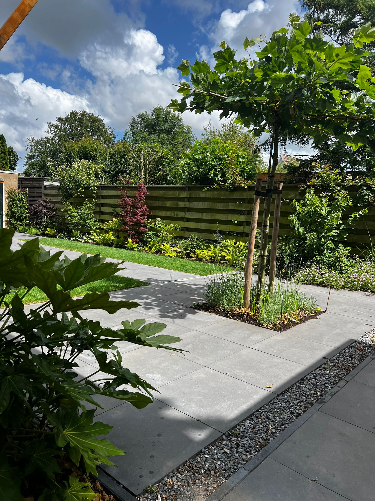 Achtertuin, Heiloo